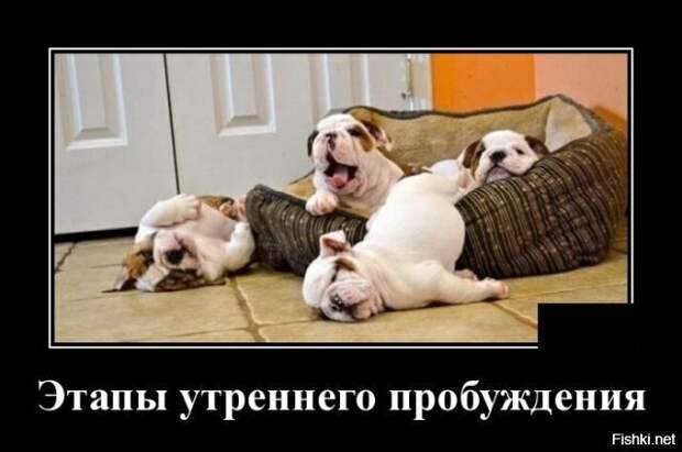 02db79255eac7cca4306e704efcfcd22 (640x425, 100Kb)