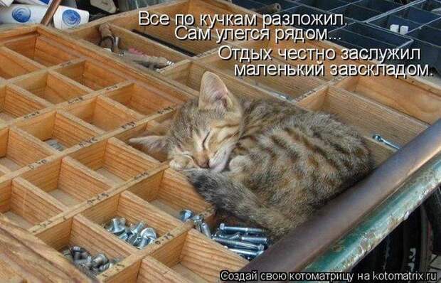 Мысли вслух :)