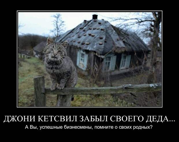 30 демотиваторов дня от 23-01-2014