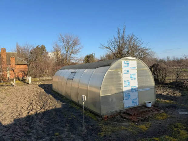 Химия — в сторону: три простых лайфхака, которые избавят теплицу от слизней на всё лето