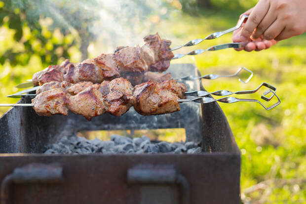 Хирург Бирюков: в сезон шашлыков может возрастать риск аппендицита
