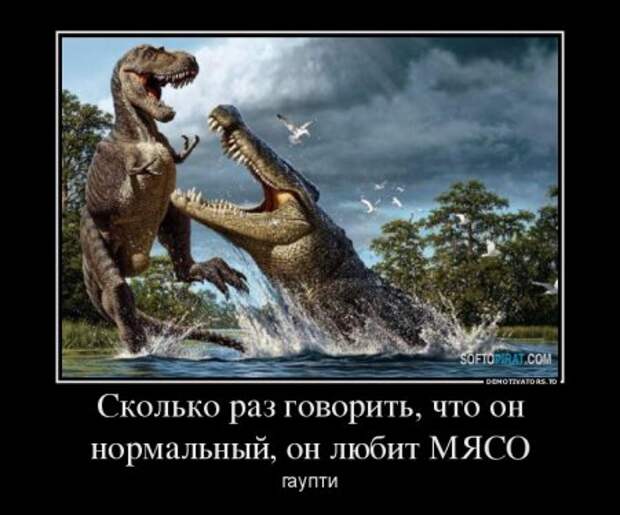 Демотиваторы они опять с нашими комментариями.