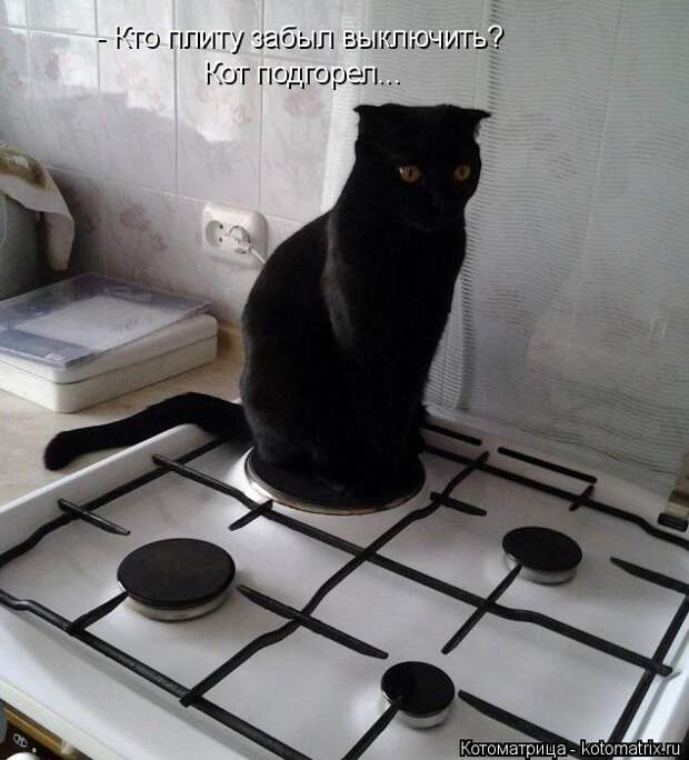 Котоматрица: - Кто плиту забыл выключить? Кот подгорел...