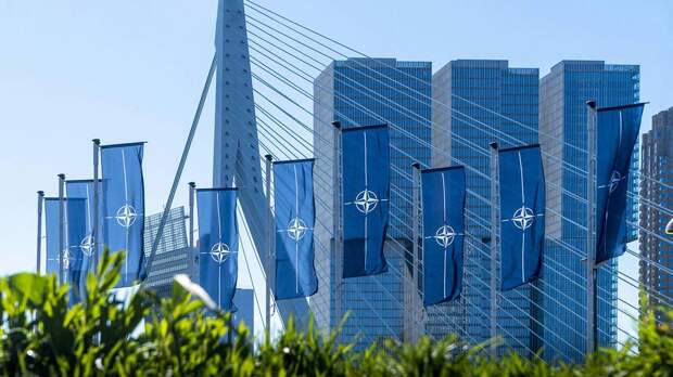 «Впал в кому»: военный аналитик Гайани заявил о смерти НАТО как альянса