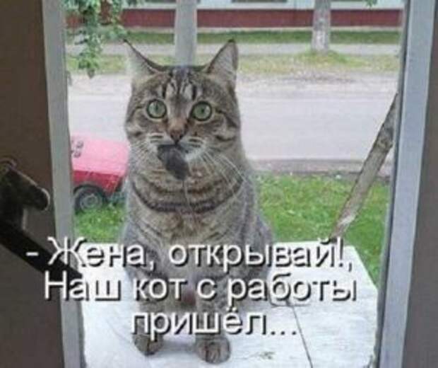 Убойные фотоприколы с надписями