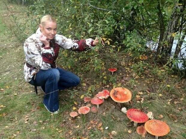 А вот и Анастасия Волочкова со своим урожаем грибы, знаменитости, лес, осень