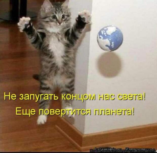 Котоматрицы (картинки с надписями)