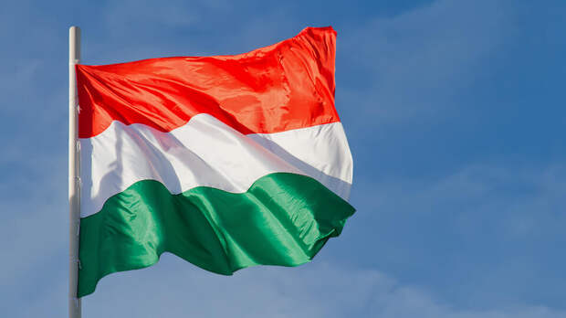 Правительство Венгрии объявило о высылке семерых перевозивших валюту украинцев