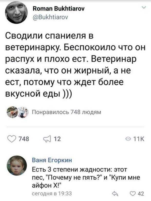 Убойная подборочка сатирических комментариев из сети о народных юмористов