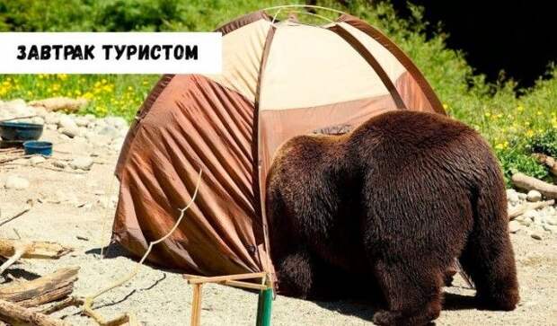 kartinok-interesnyh-prikolnyh-kartinki-smeshnye-kartinki-fotoprikoly