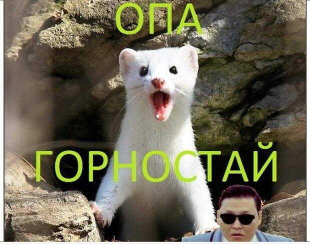 Игра слов, игра слуха, игра зрения -  взрыв мозга игра слов, послышалось, привиделось, смешно