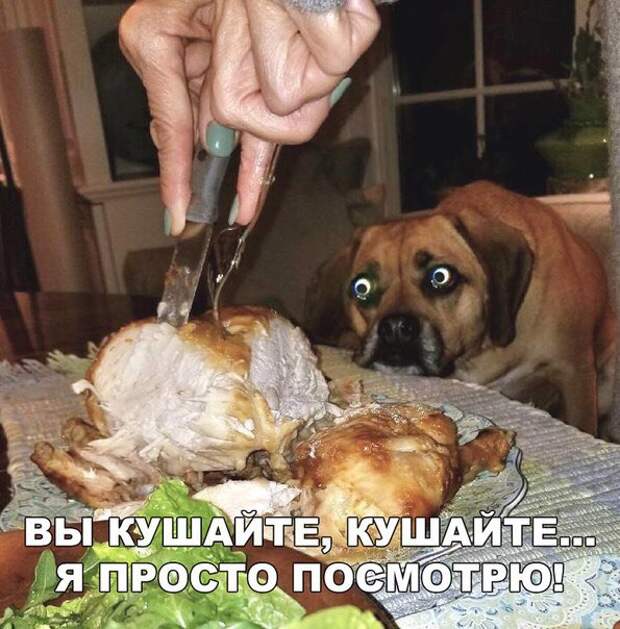 Лифчик с подкладками — как пакет с чипсами...