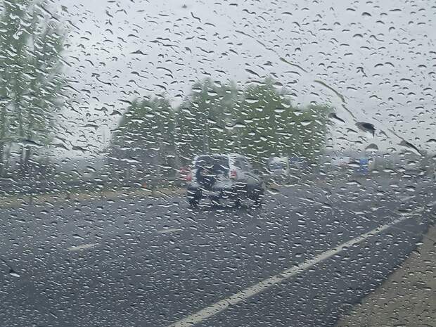 Дождь и холодный ветер: «экватор» недели в Смоленске