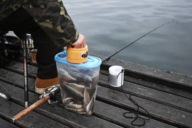 Скрывавшегося 23 года от суда россиянина обнаружили на свалке