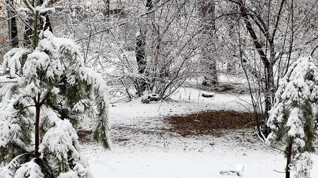 Глубина снега на Урале местами достигла 36 см