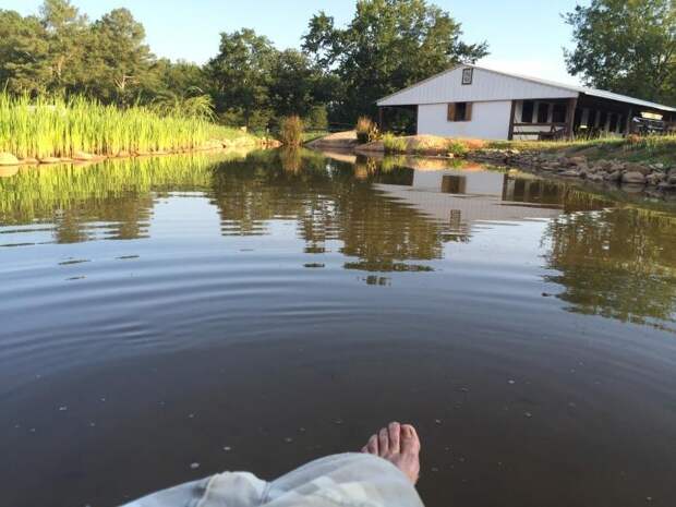 Площадь около дома выглядела скучно. Мужчина потратил три года и своими руками создал красоту: фото