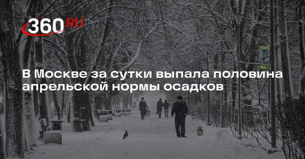 Синоптик Тишковец: в Москве за сутки выпала половина апрельской нормы осадков