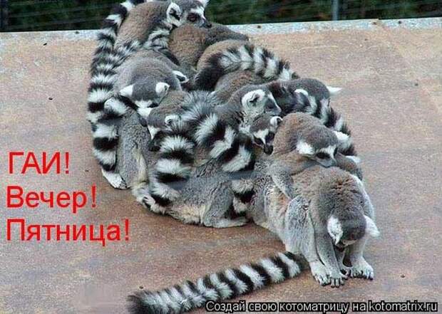 Мысли вслух :)