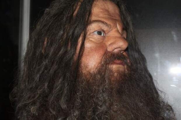 Интересные факты о съёмках фильмов о Гарри Поттере (31 фото)