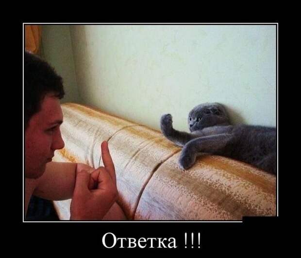Демотиваторы
