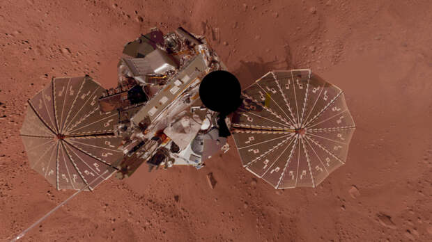 Грибок-терминатор: НАСА нашло микроорганизм, способный выжить на Марсе