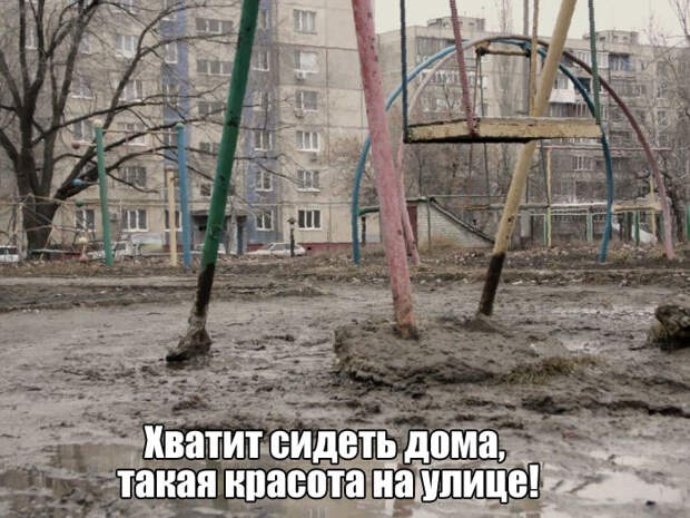 Прикольные картинки. Вечерний выпуск (59 фото)