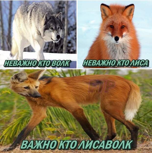 www.vsyako.net