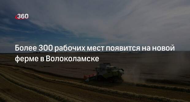 Более 300 рабочих мест появится на новой ферме в Волоколамске