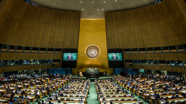 Резолюция ООН разделила мир на «друзей» и «врагов» России