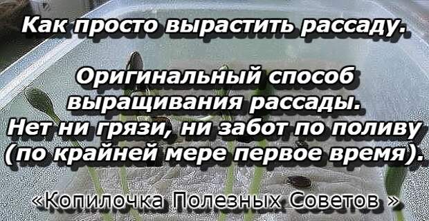 image (4)