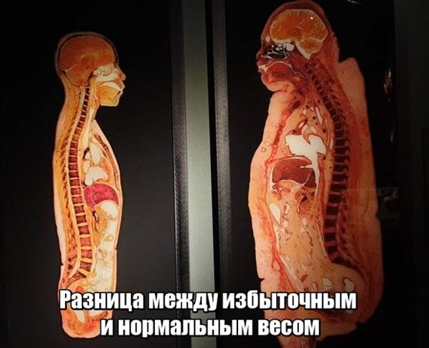 www.vsyako.net