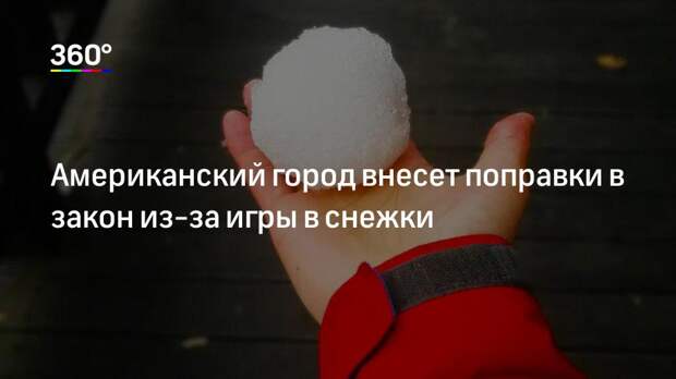 Американский город внесет поправки в закон из-за игры в снежки