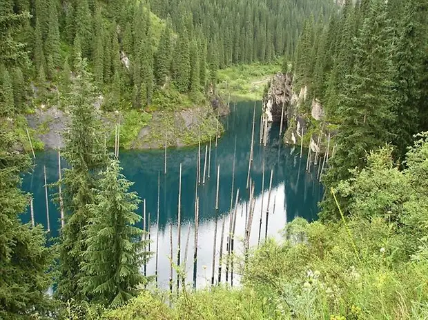 Затопленный лес озера Каинды, Кайнды, (Lake Kaindy), Казахстан