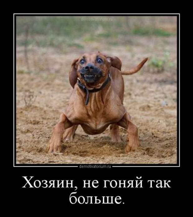 Демотиваторы разные, только без истерик)