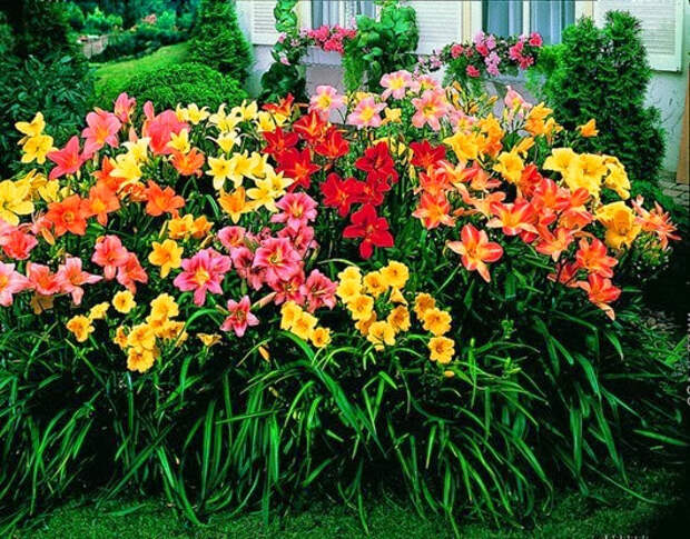 clip_image036