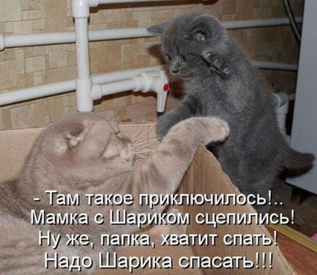 69a3b7a28d3968f22bf2b02f520_prev