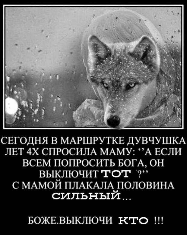 www.vsyako.net