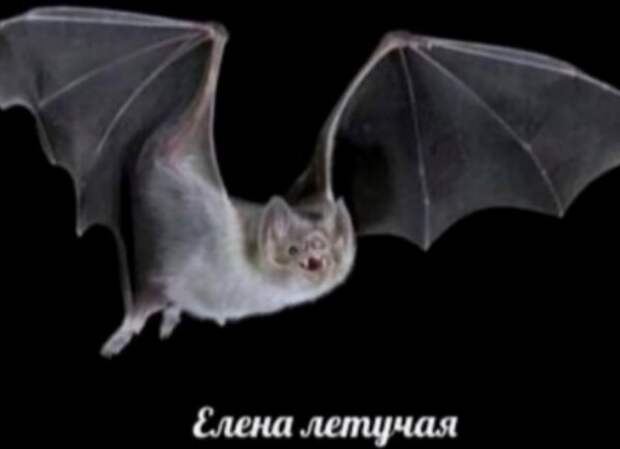 Нестандартный юмор :)
