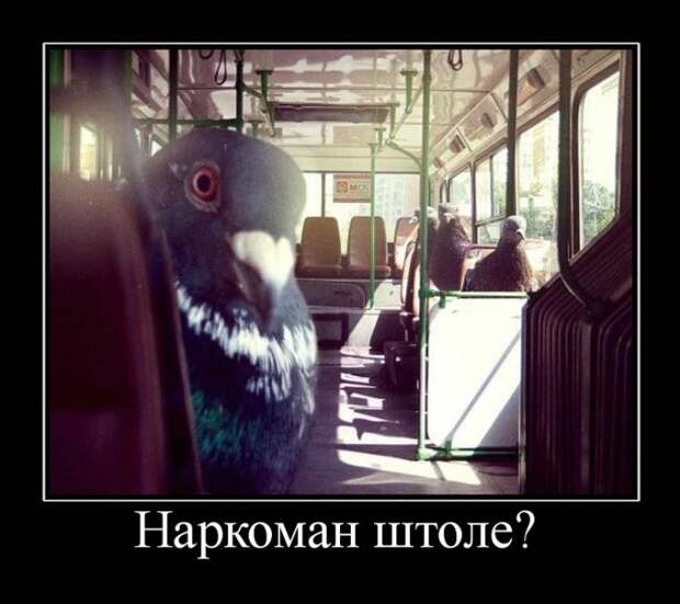 1468569909_demotivatory_19