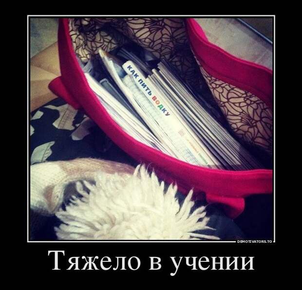 4873889-uchat-v-shkoleuchat-v-shkoleuchat-v-shkole
