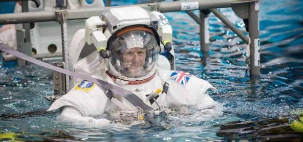 О думающей части общества