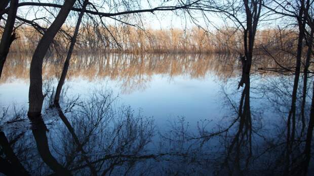Глава Росгидромета Шумаков: половодье в этом году будет сложным