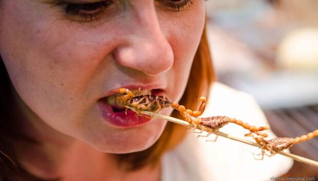 chinesefood17 chinesefood17 Китай гастрономический