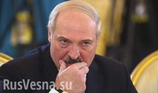 Лукашенко: Если мы будем платить за газ как европейцы — Медведеву тоже придется кое за что заплатить (ВИДЕО) | Русская весна