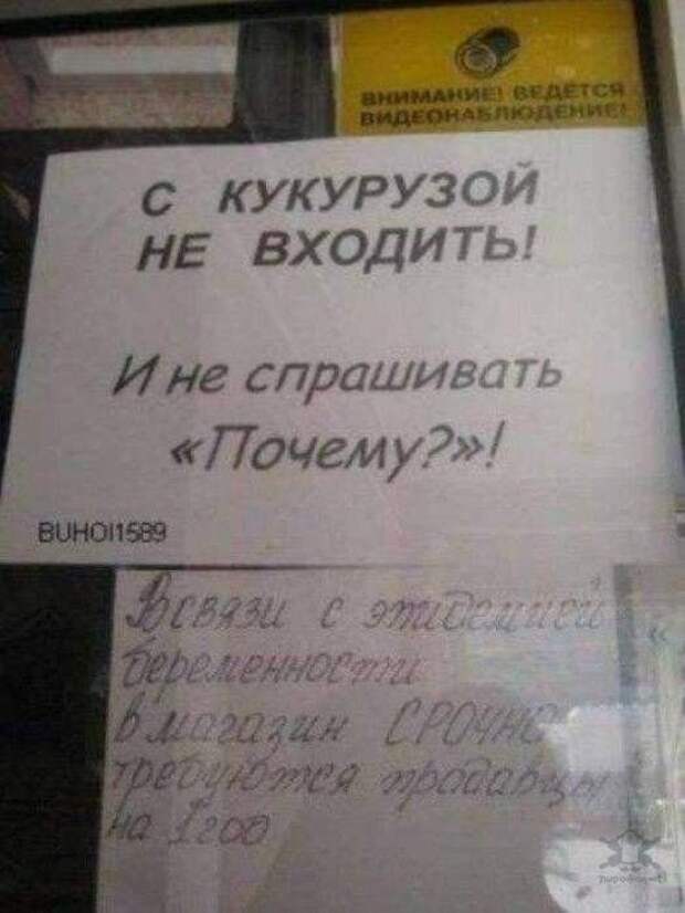 Маразмики