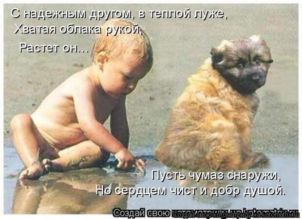 Котоматрицы
