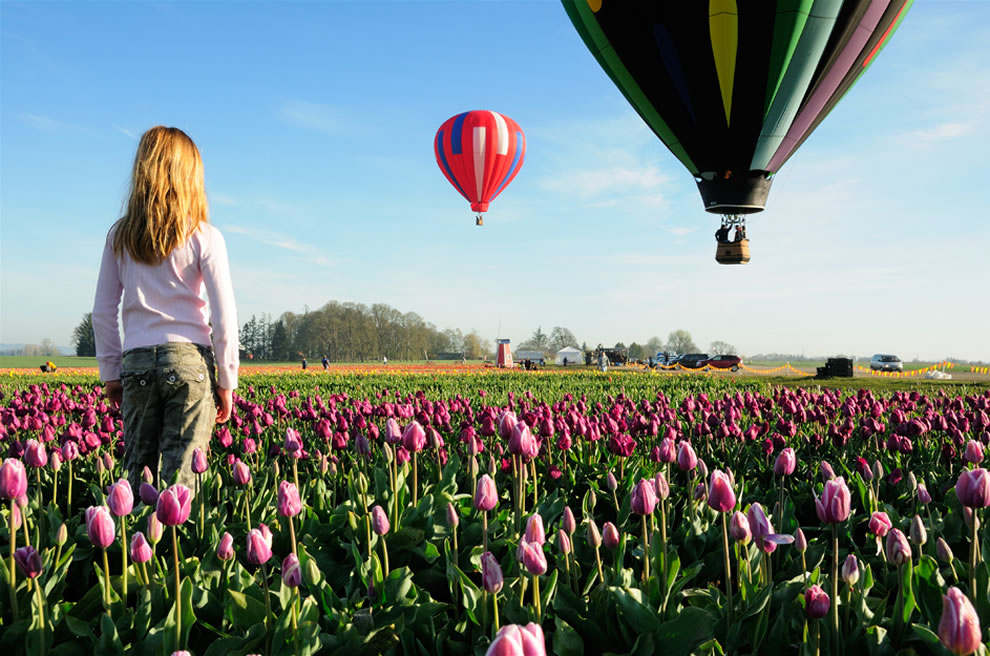 tulips05 Самые яркие тюльпаны со всего света