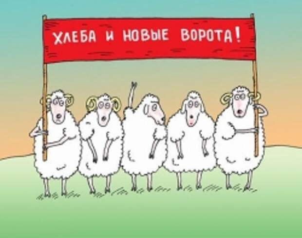Кто вы на рынке:Бык,Медведь или Свинья?и как Не стать Овцой! Кто вы на рынке:Бык,Медведь или Свинья?и как Не стать Овцой!