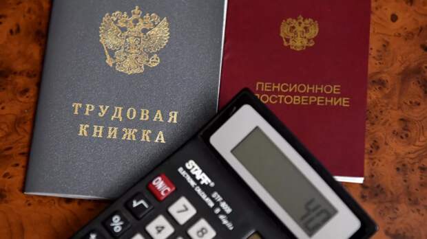 В Госдуме разъяснили, кому доступно получение пенсии на дому