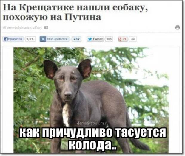 Цитаты в картинках